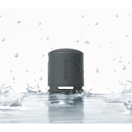 Sony SRS-XB100 Bluetooth Speaker