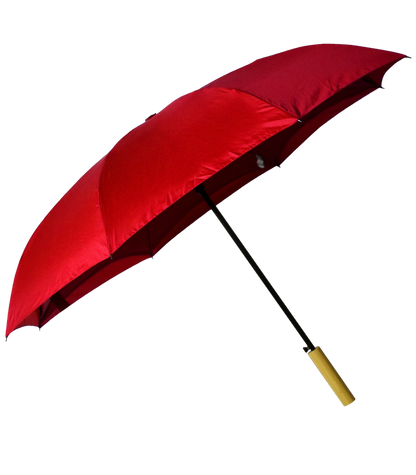 Rebel With a Cause Umbrella