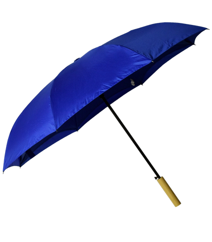 Rebel With a Cause Umbrella