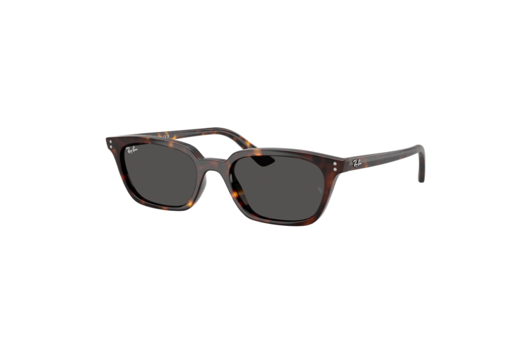 Ray-Ban Zaya Bio-Based Sunglasses