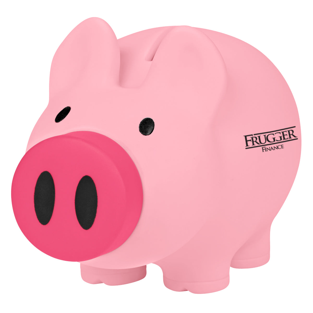 Payday Piggy Bank