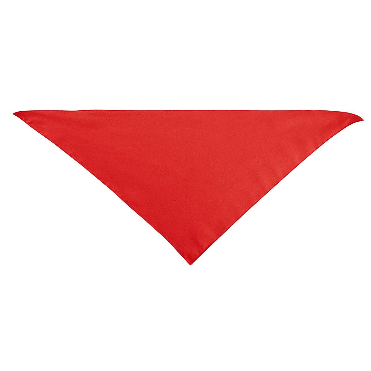 Large Triangle rPET Pet Bandana