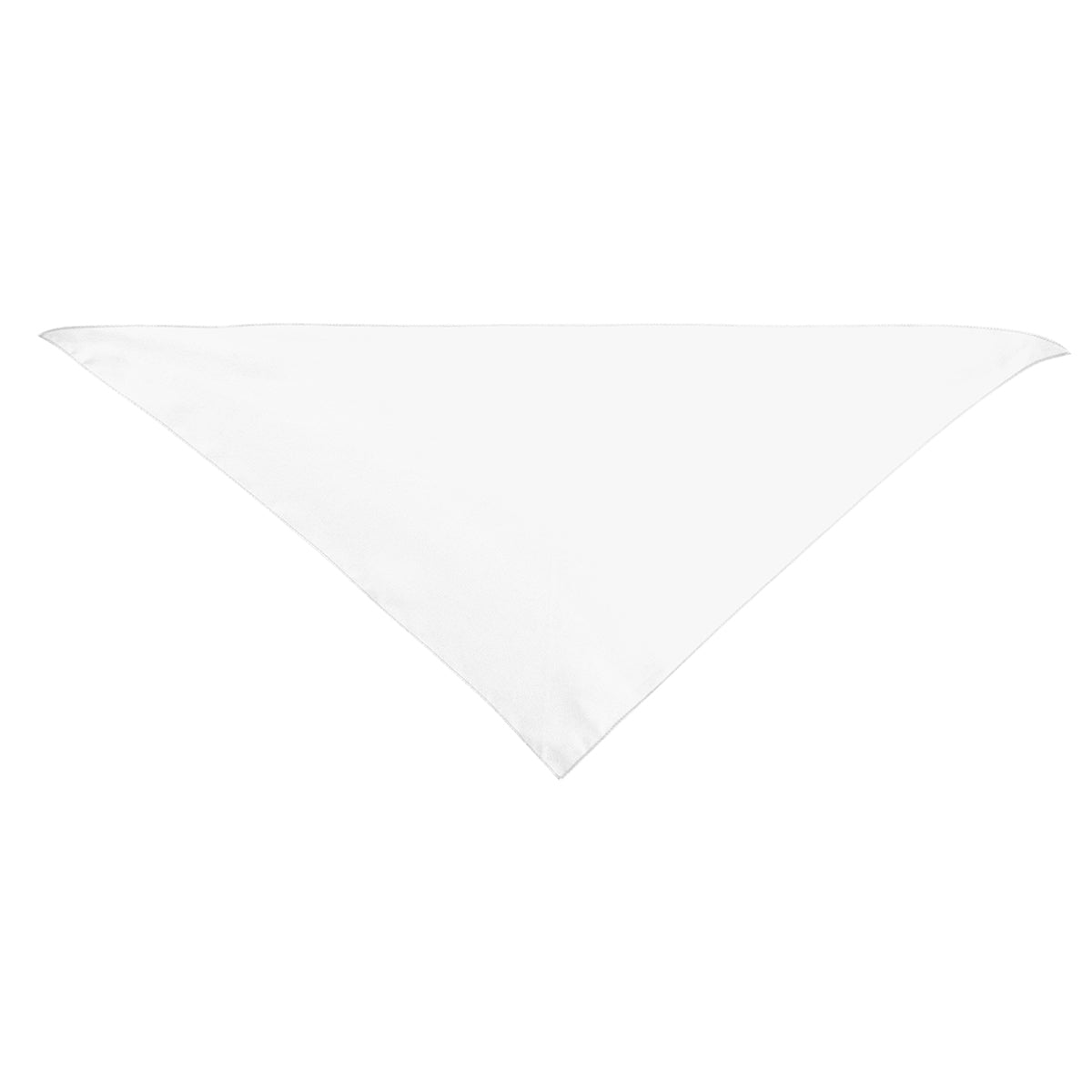 Large Triangle rPET Pet Bandana