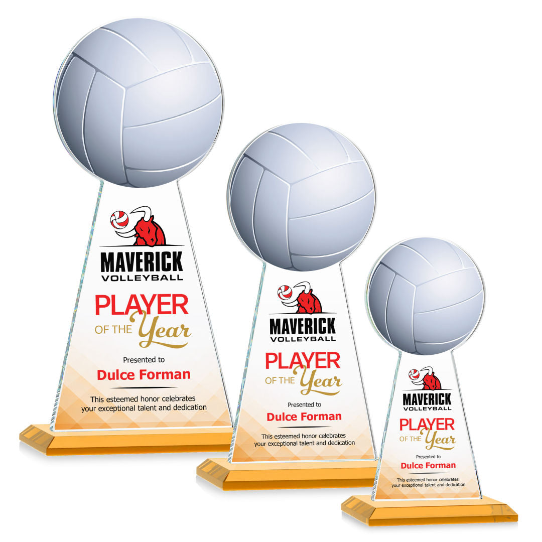 Edenwood Volleyball VividPrint™ Award - Amber