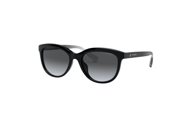 Coach Women's Polarized HC8285U Sunglasses