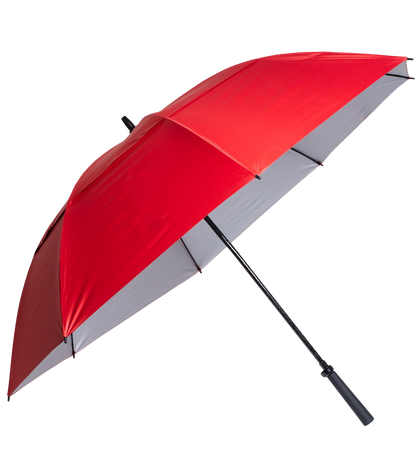 The Raydefyer Umbrella