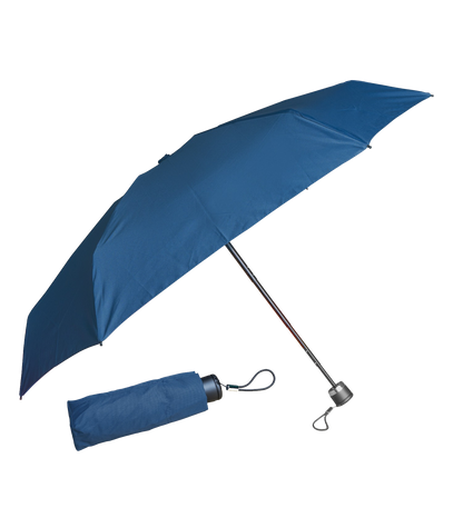 The Bitty Umbrella