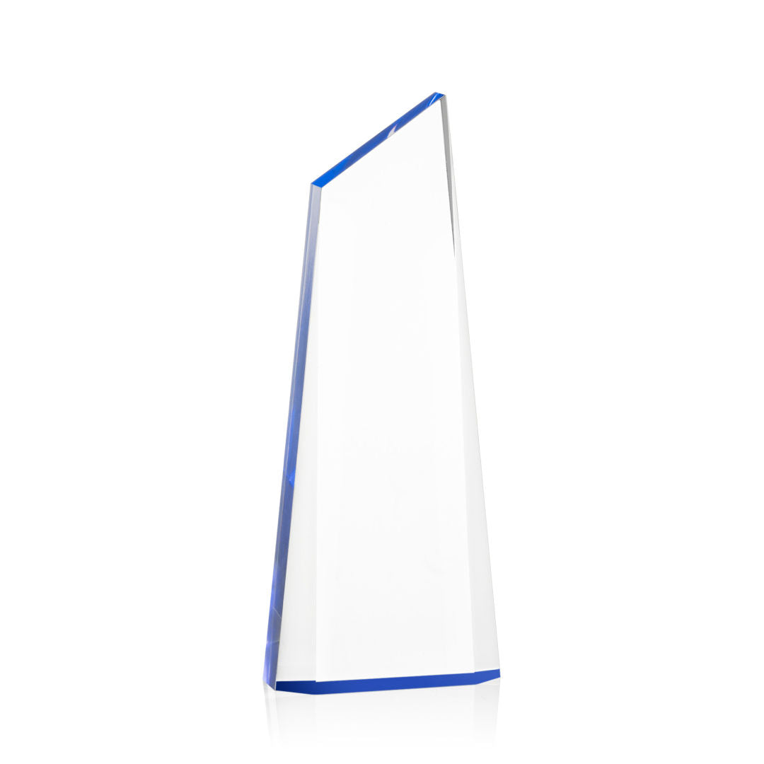 Hudson VividPrint™ Award - Blue