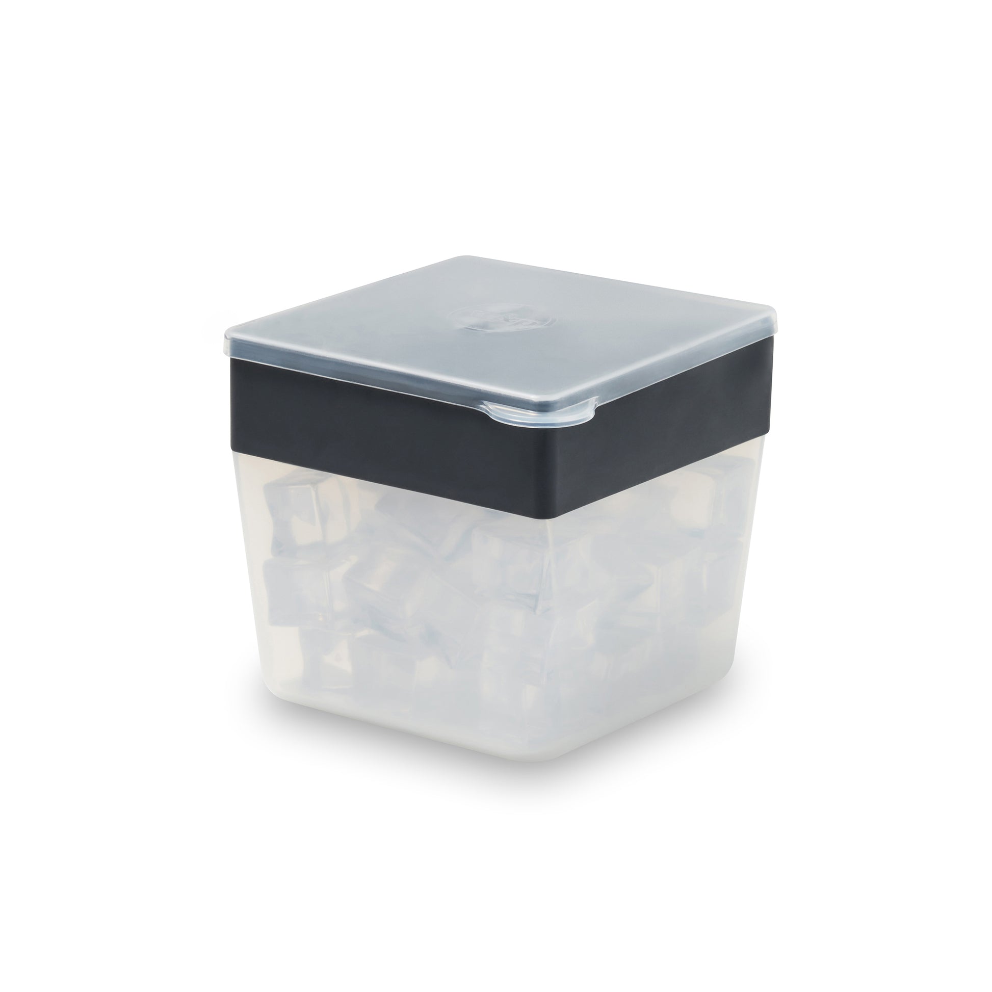 W&P Mini Ice Cube Box
