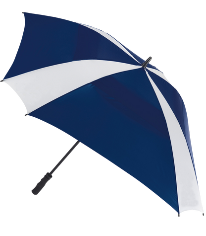 The Cyclone Umbrella