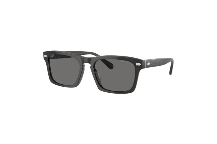 Coach Polarized Keyhole Square Sunglasses
