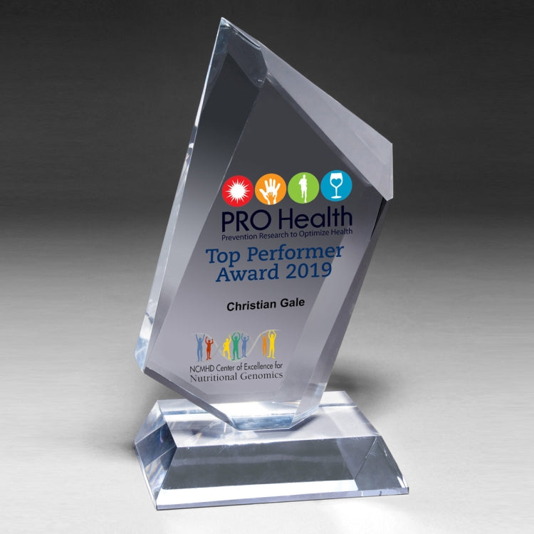 Large Summit Award - 4 Color Process