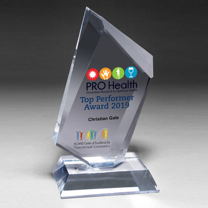 Large Summit Award - 4 Color Process