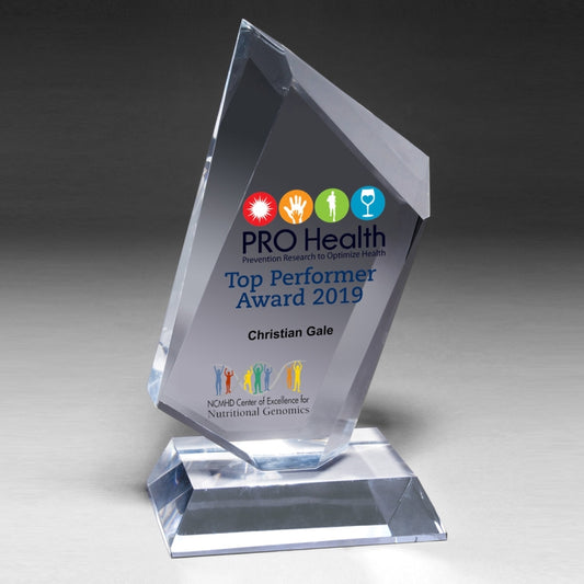 Large Summit Award - 4 Color Process