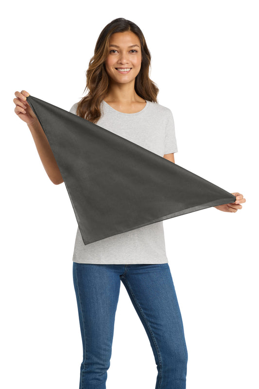 SanMar C965_sterlinggrey_model_front.jpg
