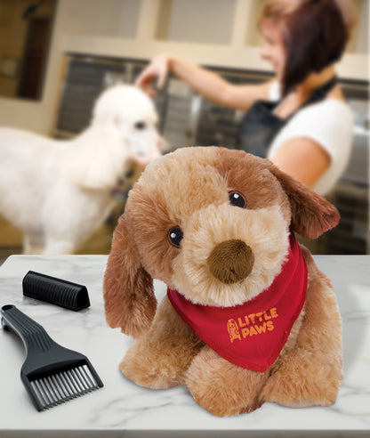 Chelsea Teddy Bear™ Bo - 8" Plush