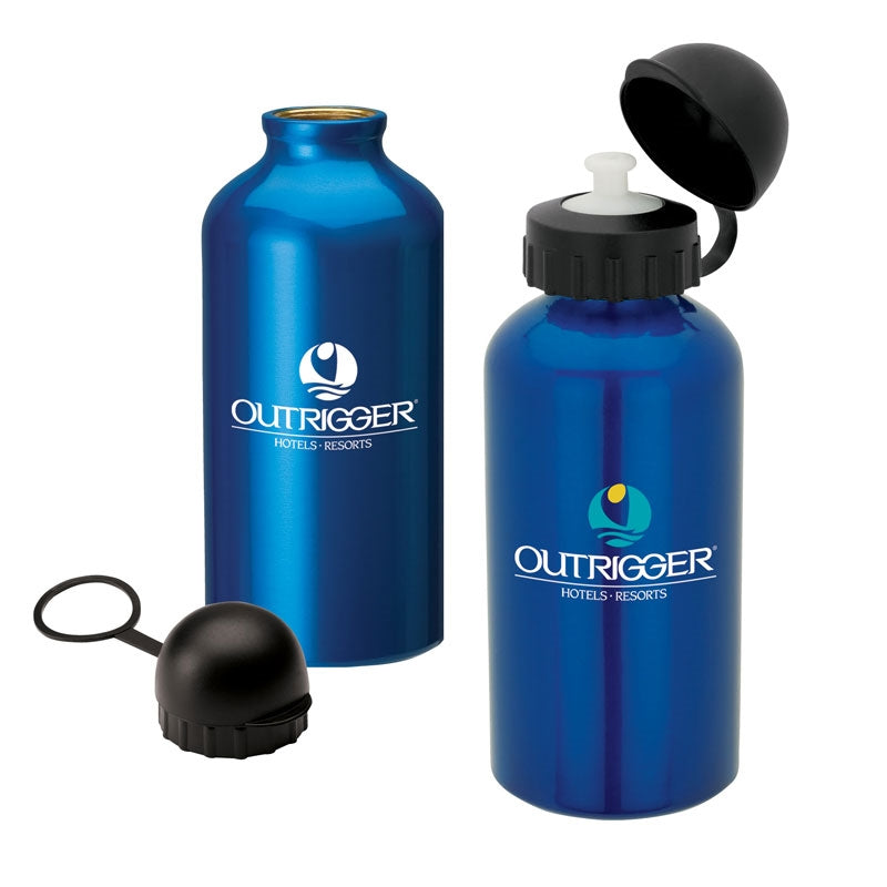 N/A 16.9 oz. Domed Flask