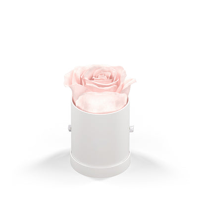 Classique by VeF Le Mini™ Round