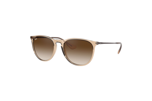 Ray-Ban Women's Erika Color Mix Sunglasses