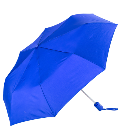 Executive Mini Umbrella