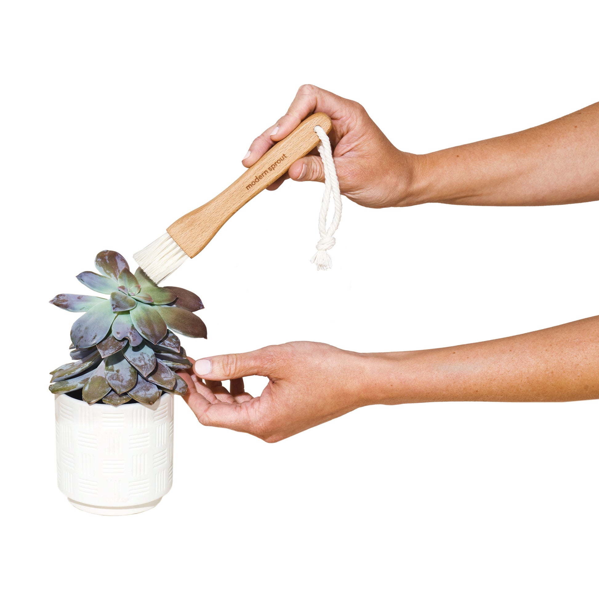 Black Modern Sprout® Plant Parent Care Kit