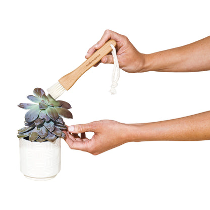 Black Modern Sprout® Plant Parent Care Kit