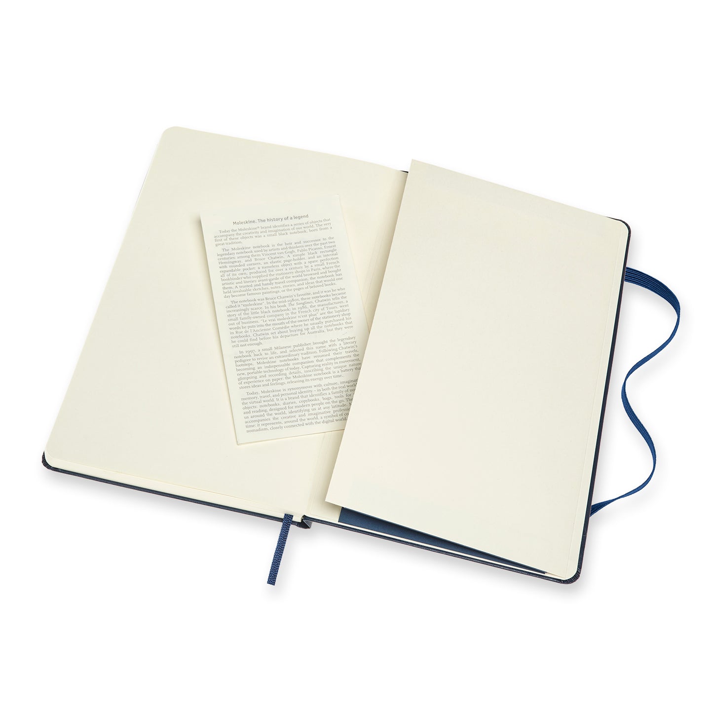 Moleskine® Hard Cover Large Double Layout Notebook