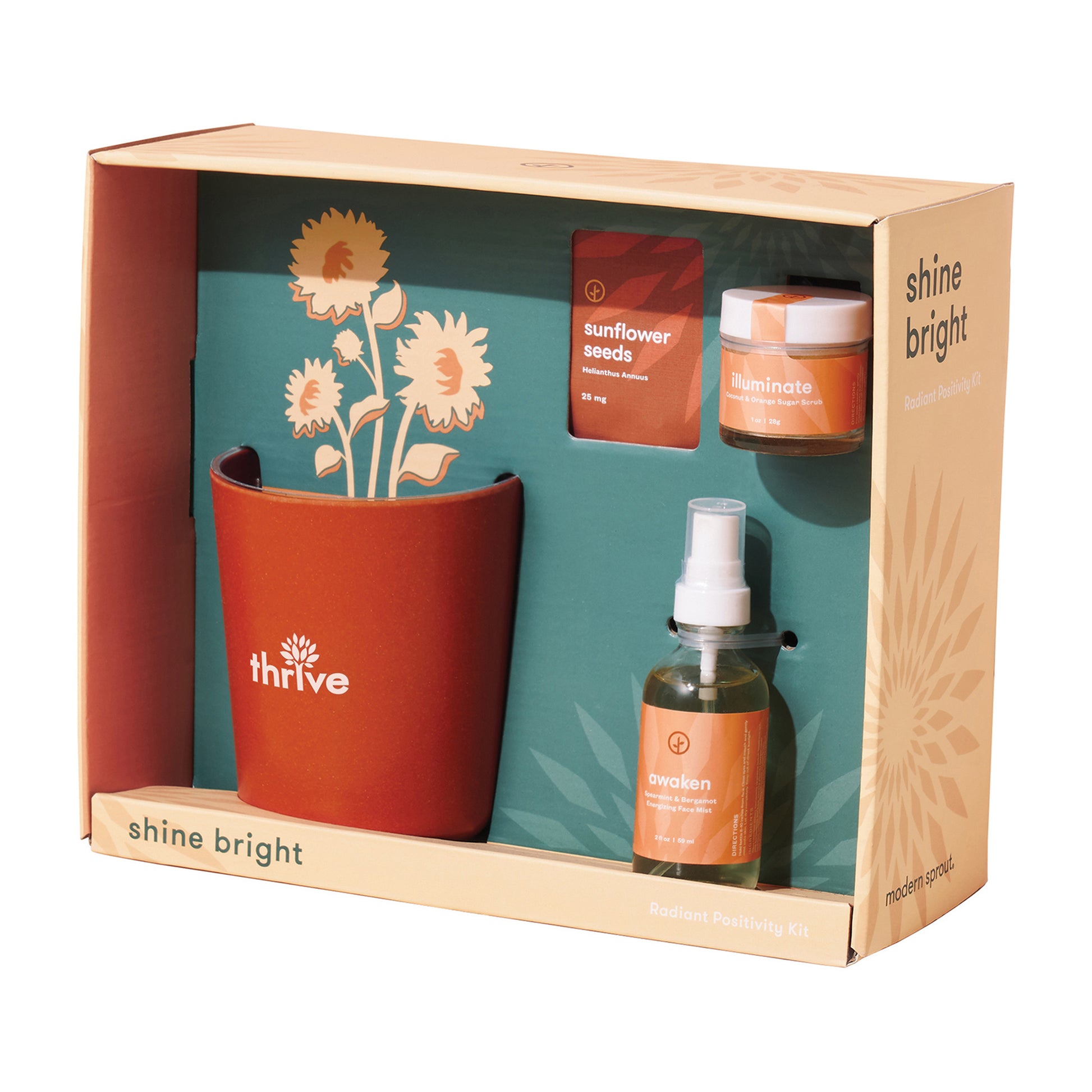 Shine Bright Sunflower Modern Sprout® Shine Bright Take Care Kit - Sunflower