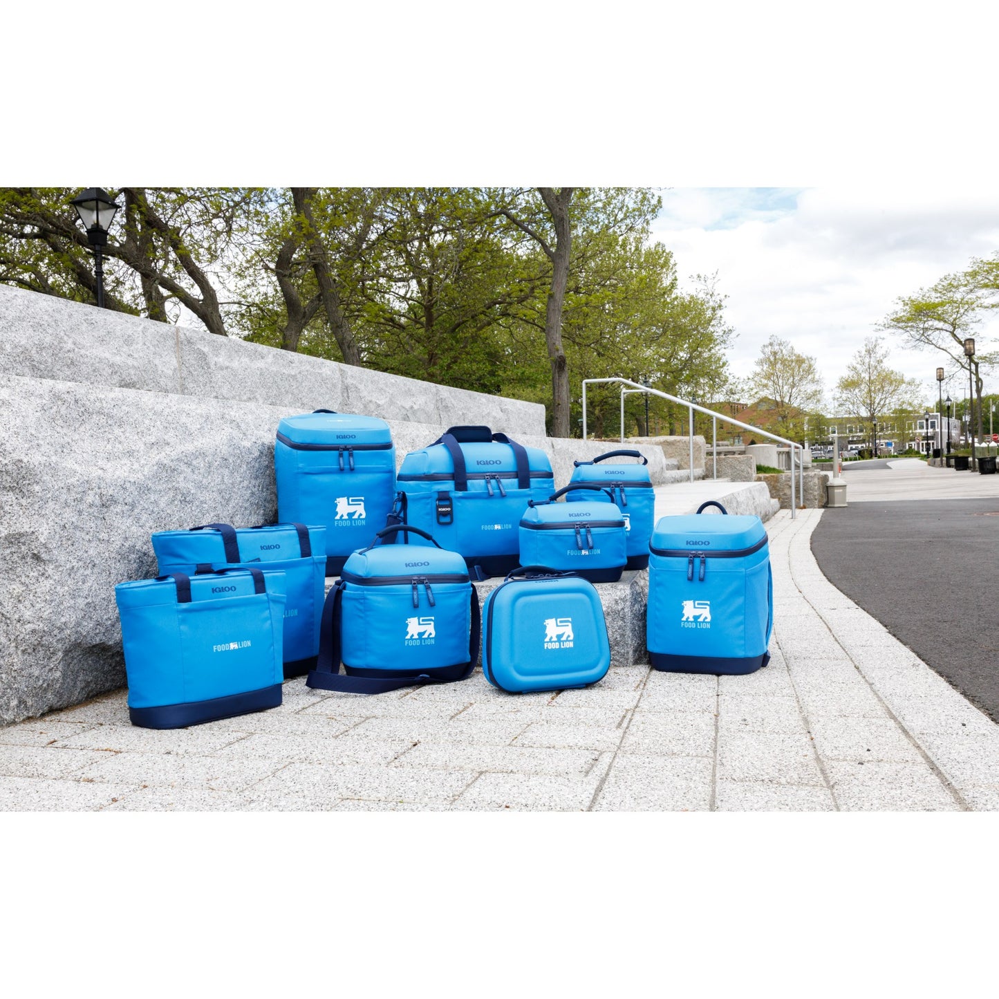 Igloo® Day Chiller 9 Can Tote Soft Cooler