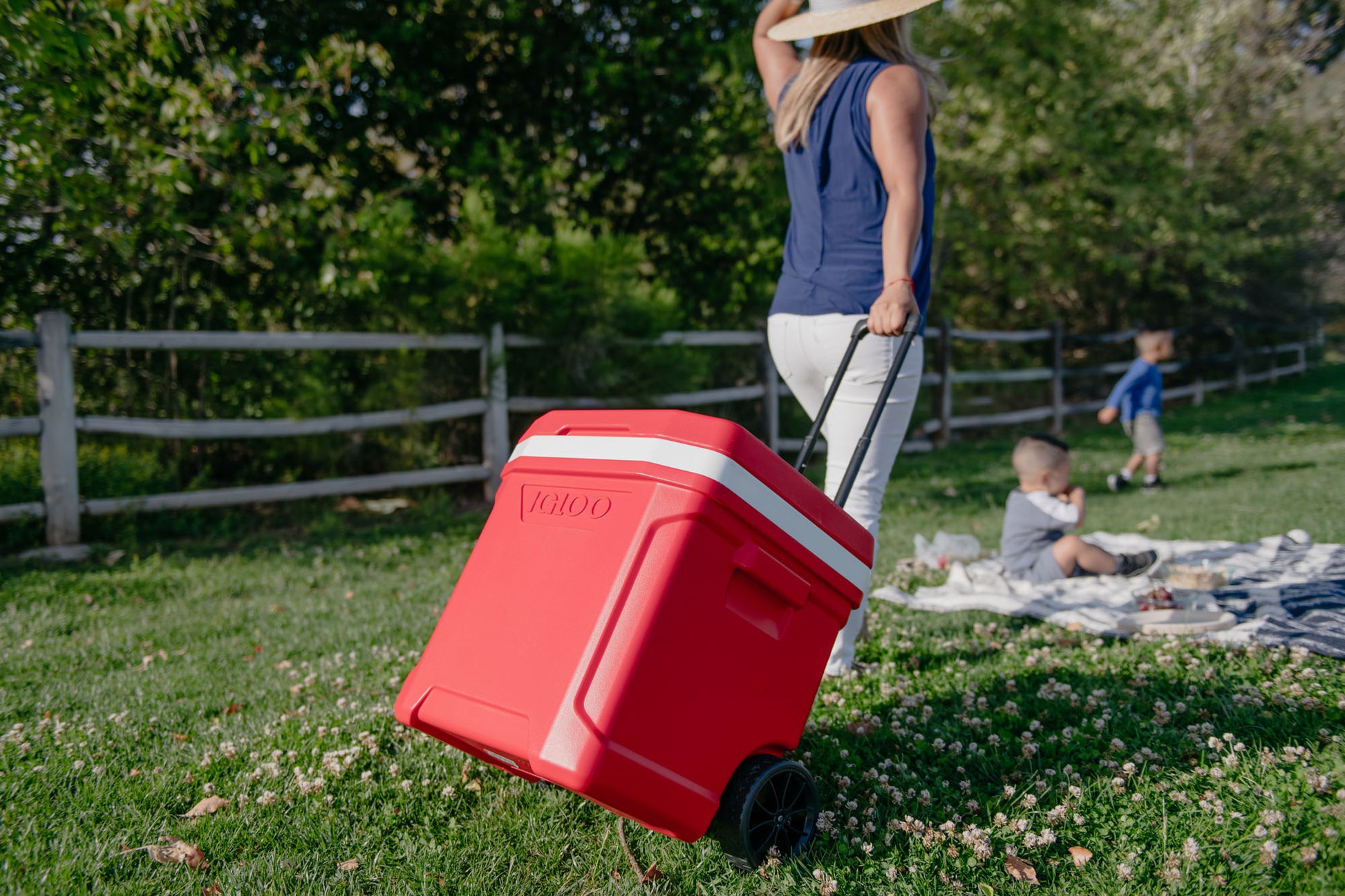White-Red Star Igloo® Profile II 28 Qt Roller Cooler