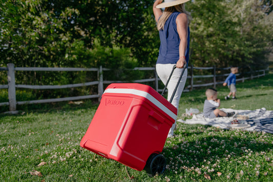 White-Red Star Igloo® Profile II 28 Qt Roller Cooler