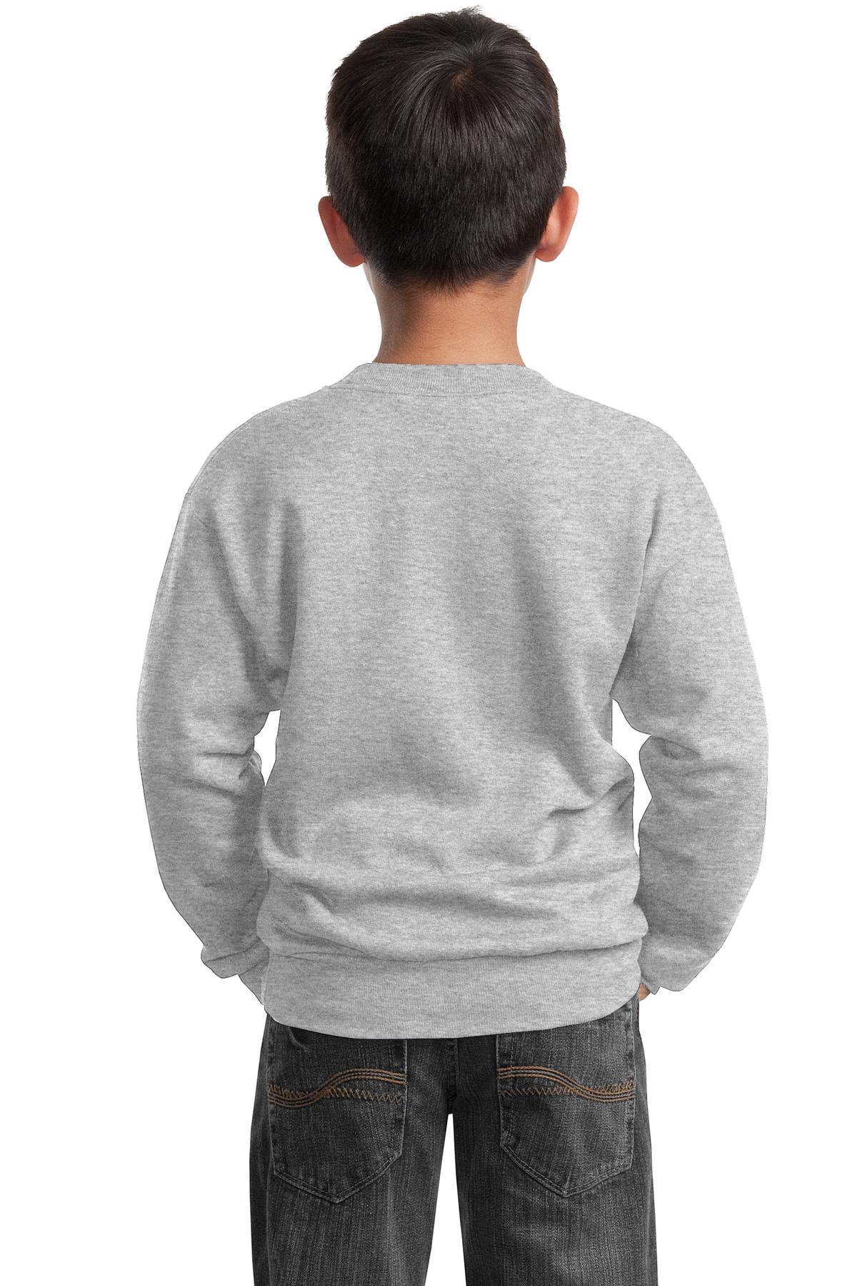 Ash Port & Company Youth Core Fleece Crewneck Sweatshirt. PC90Y