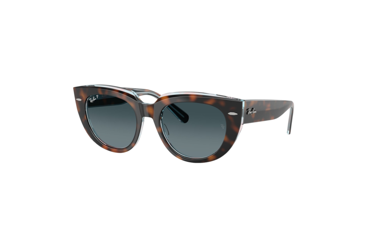 Ray-Ban Women's Polarized Doreen Sunglasses