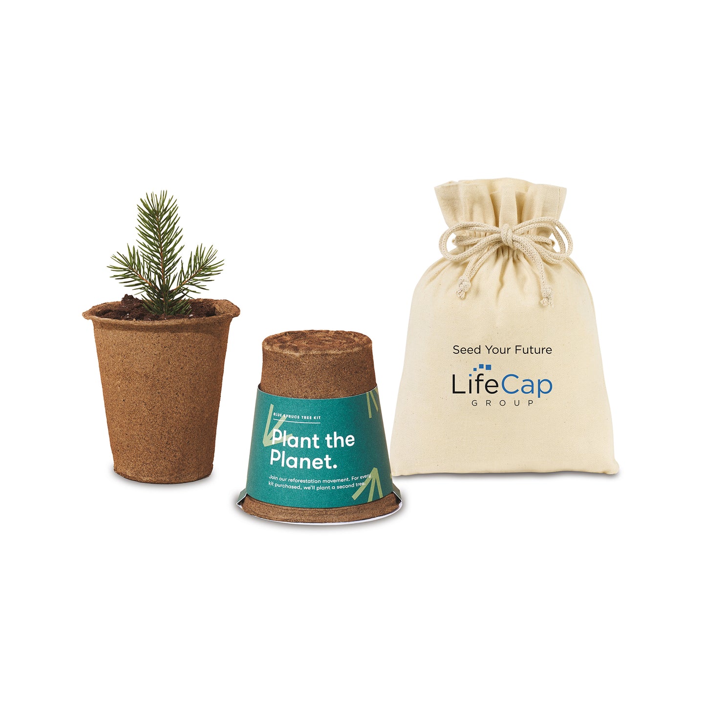 Spruce Modern Sprout® One For One Tree Kits