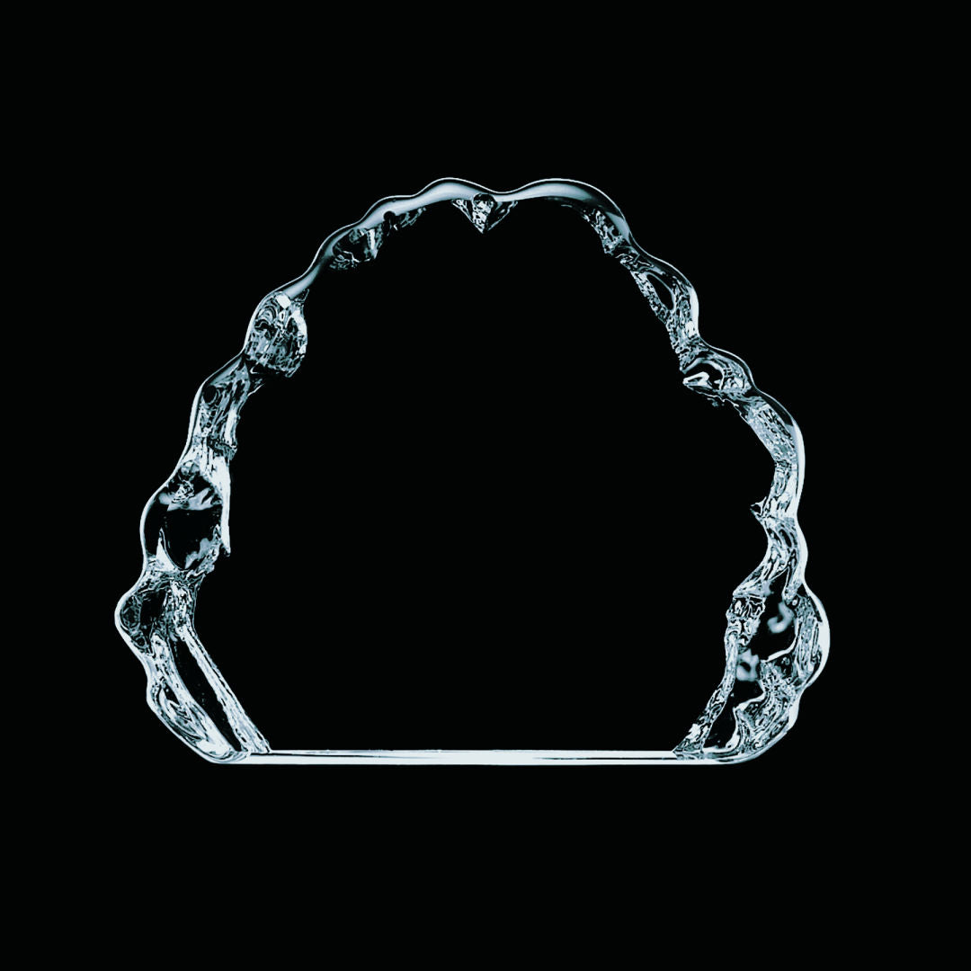 Spence Iceberg Award