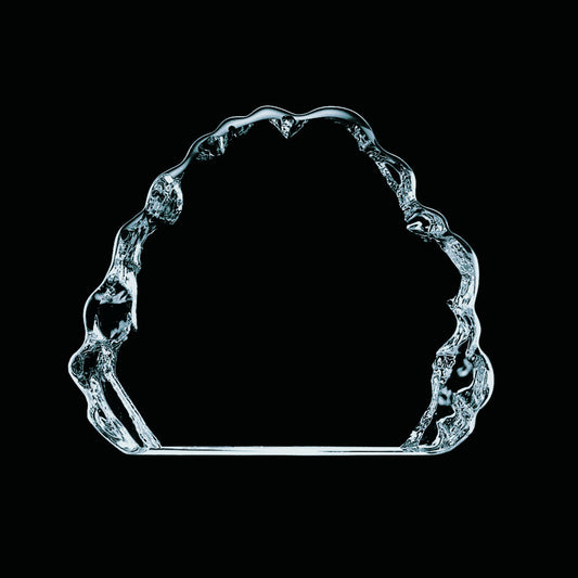 Spence Iceberg Award