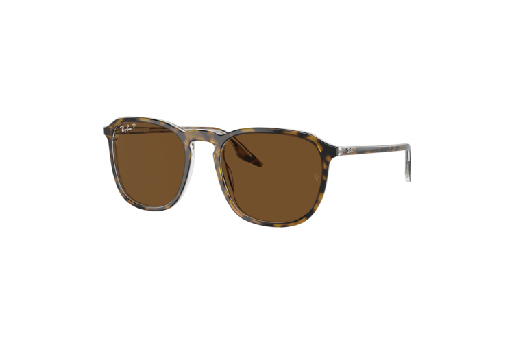 Ray-Ban Polarized RB2203 Sunglasses