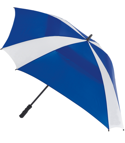 The Cyclone Umbrella