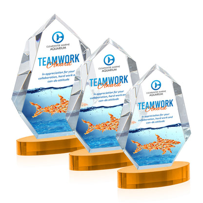 Norwood VividPrint™ Award on Alberton Base - Amber