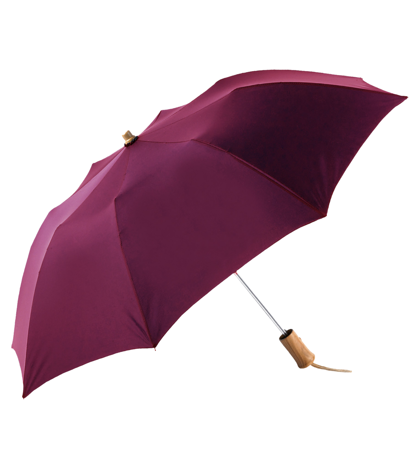 The Executive Umbrella