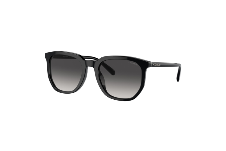 Coach HC8384U Sunglasses