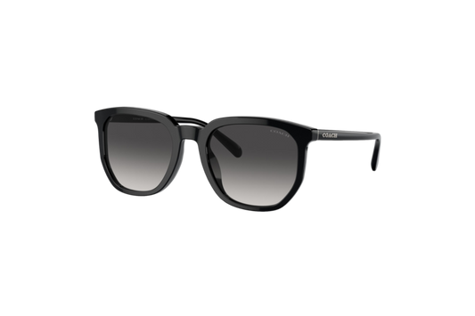 Coach HC8384U Sunglasses