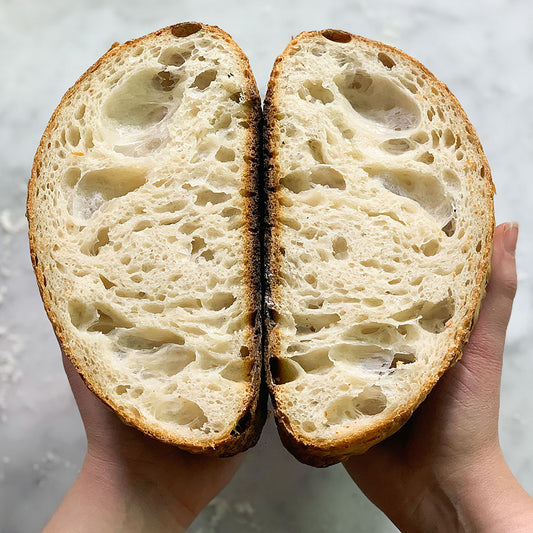 Black FarmSteady Sourdough Bread Winner Kit