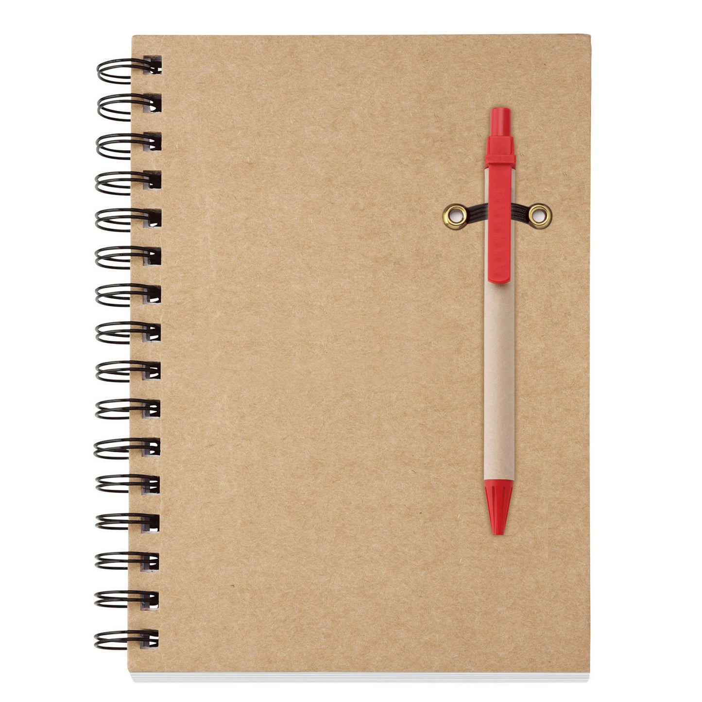 Ecologist notebook combo