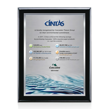 Oakleigh VividPrint™ 3D Plaque - Black/Silver