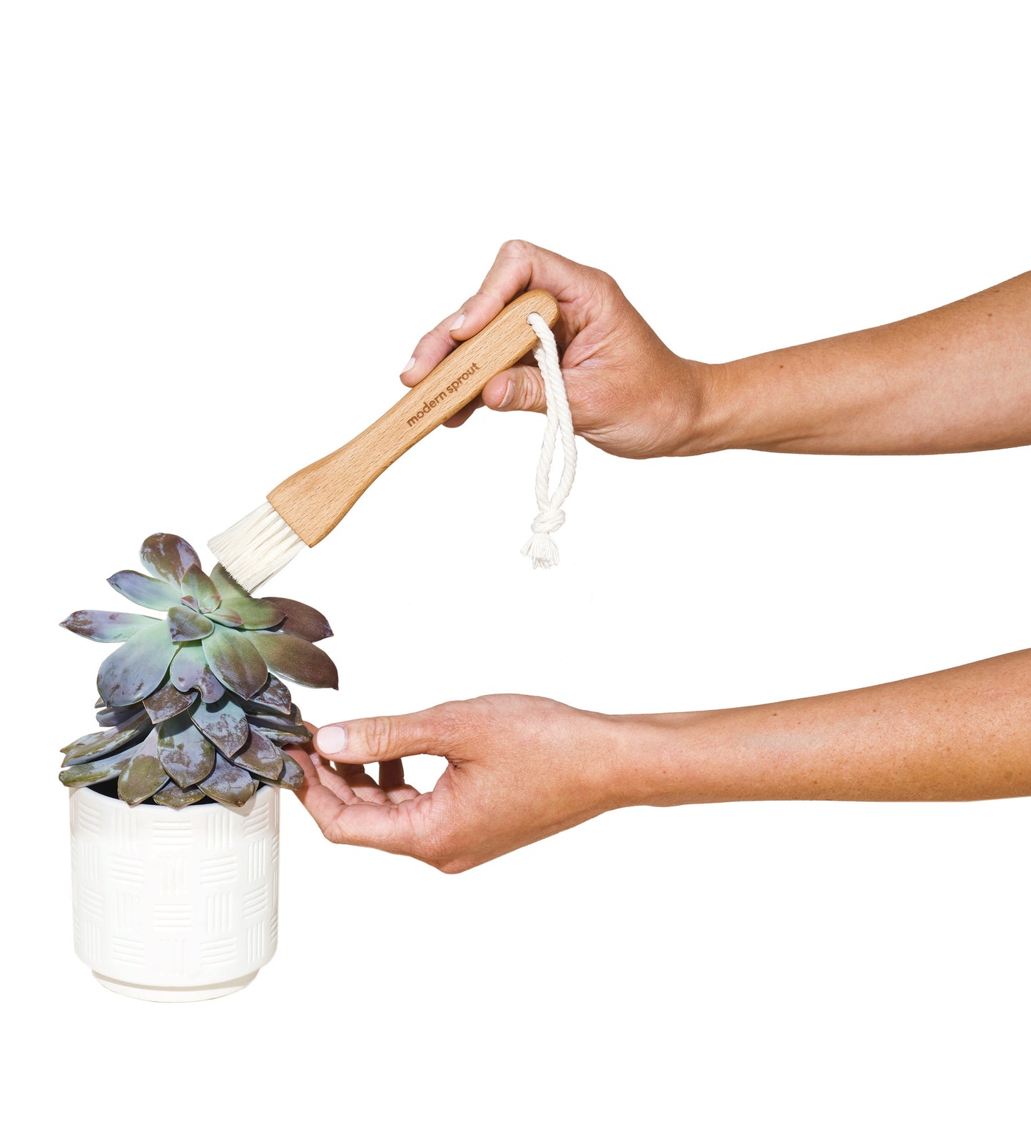 Black Modern Sprout® Plant Parent Care Kit