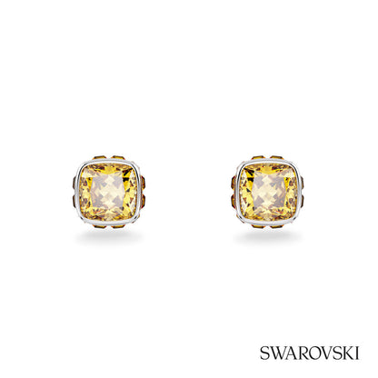 Swarovski® Birthstone Stud Earrings