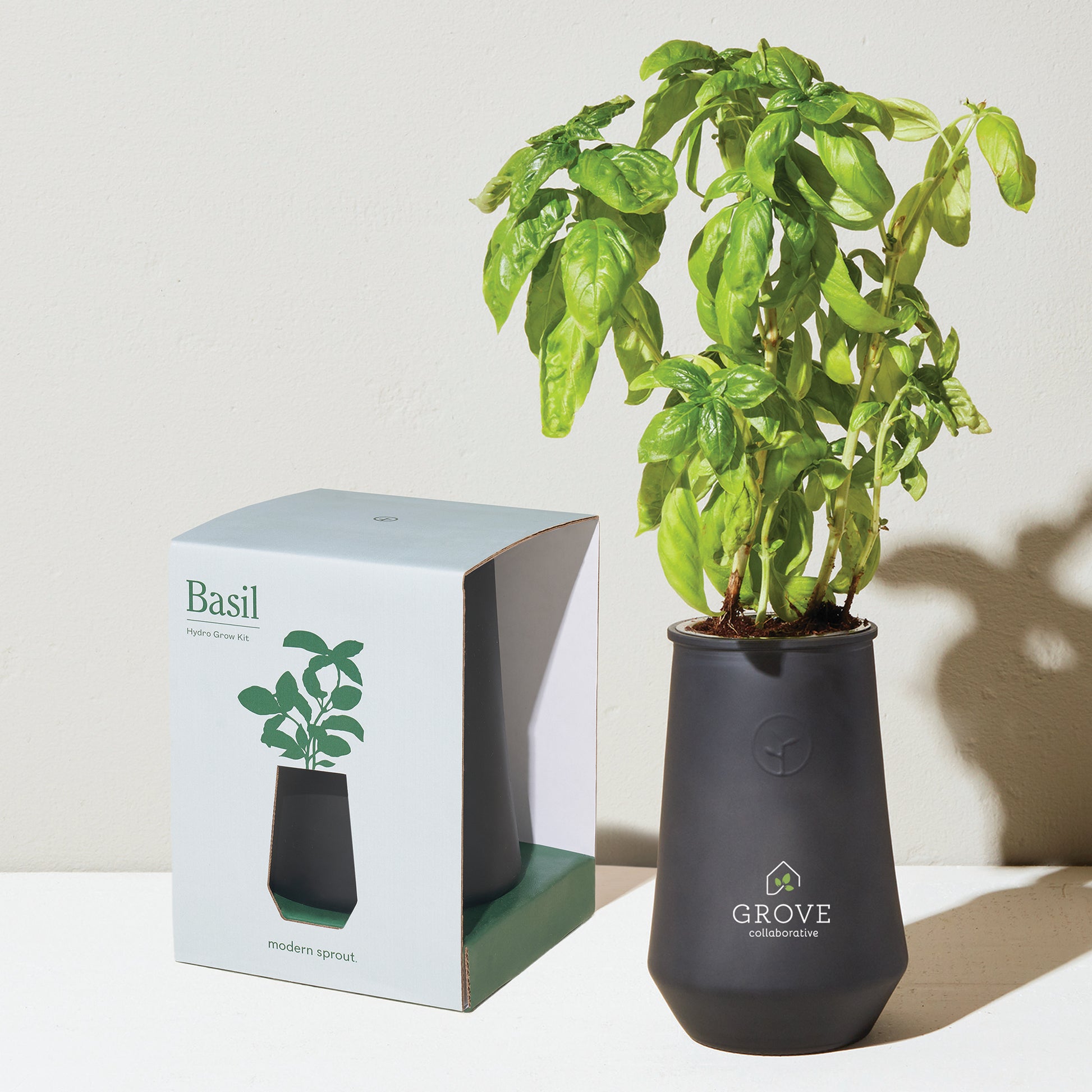Black/Basil Modern Sprout Tapered Tumbler Grow Kit