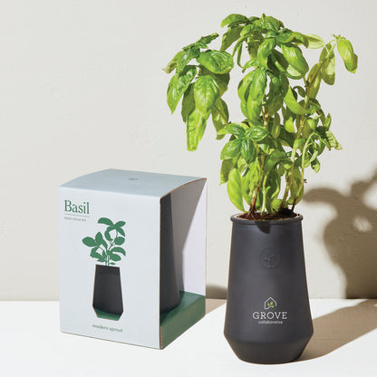 Black/Basil Modern Sprout Tapered Tumbler Grow Kit