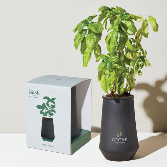 Black/Basil Modern Sprout Tapered Tumbler Grow Kit
